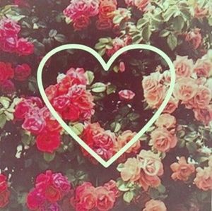 Meet your Posher, Flower